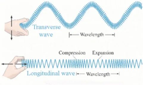 6 Illustration of a transverse wave and a longitudinal wave 