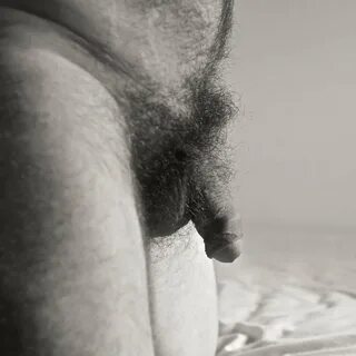 Nude pubes gay :: Black Wet Pussy Lips HD Pictures