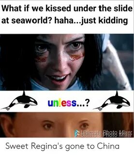 What if We Kissed Under the Slide at Seaworld? Hahajust Kidd