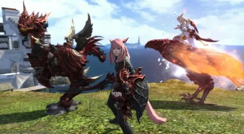 Ffxiv Chocobo Zurvanite Barding - But how the do i equip the