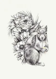 Squirrel tattoo drawing