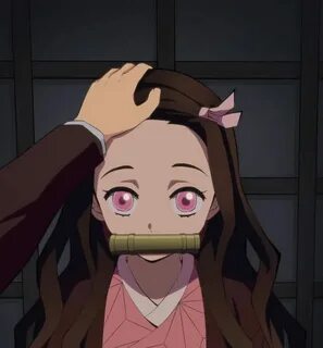 Nezuko pats Kimetsu no Yaiba - GIF on Imgur