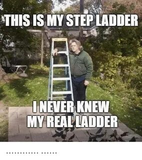 THIS IS MY STEPLADDER INEVER KNEW MY REAL LADDER Terrible Fa