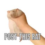 Rat Grab Meme Post This X Know Your Meme