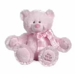 Купить FIRST TEDDY Plush Stuffed Teddy Bear PINK Ganz (Ганц)
