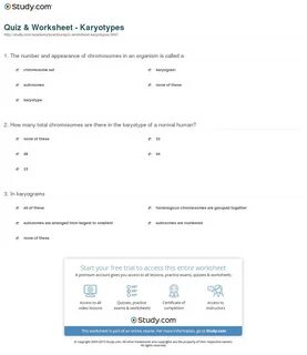 Chromosome Worksheet Cut Out Printable Worksheets and Activi