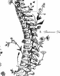 Vertebrae Labeled Floral Spine Print Spine Poster for Etsy V