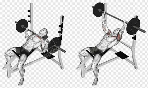 Bench press Exercise Barbell Muscle, Upper Body, angle, phys