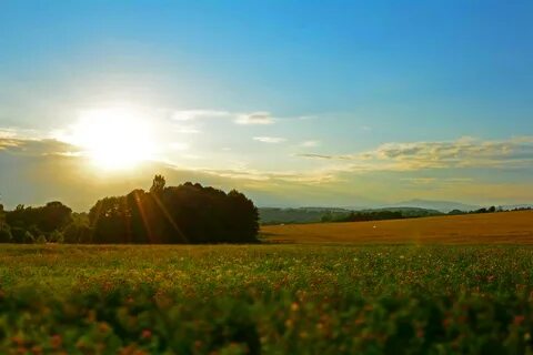 Meadow At Sunset Copyright-free photo (by M. Vorel) LibreSho