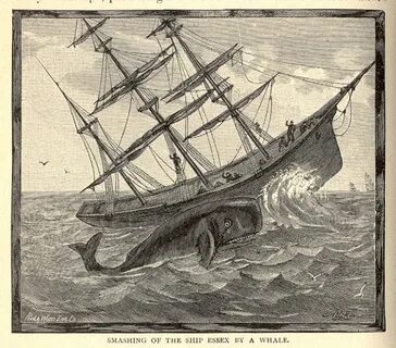 Herman Melville - Moby-Dick (Chap. 3: The Spouter-Inn) Geniu