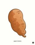 Sweet Potato Drawing at GetDrawings Free download