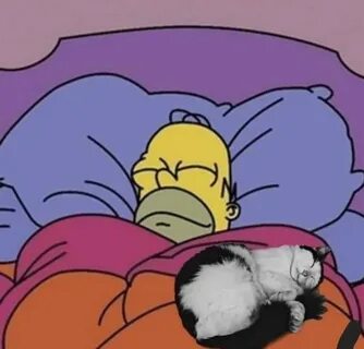 reactions on Twitter: "homer simpson comfortable in bed with