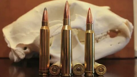 338 Lapua vs 300 Win Mag vs 338 Win Mag: What's Best For You