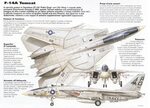 Grumman F-14 Tomcat (Cutaway) (Spaccato) (Profili)