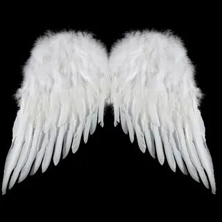 Big Custom Angel Wings Related Keywords & Suggestions - Big 