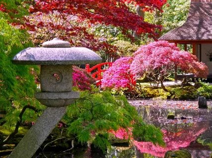 Календарь 2023 Японский Сад Фото (147 картинок) .