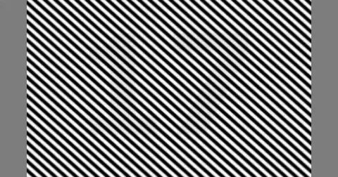 Optical illusion: There is a double digit number hidden in t
