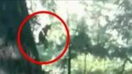 SCARY REAL SASQUATCH VIDEO! - YouTube