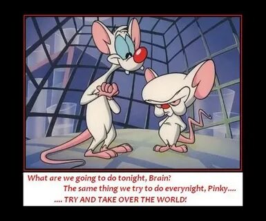 The Brain Quotes Pinky And Pinky. QuotesGram