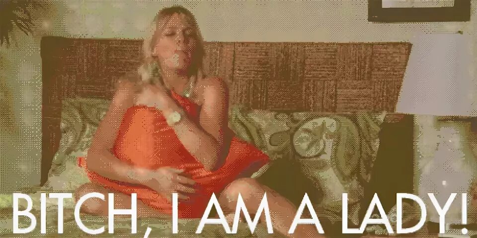 Cougar town GIF - Find on GIFER