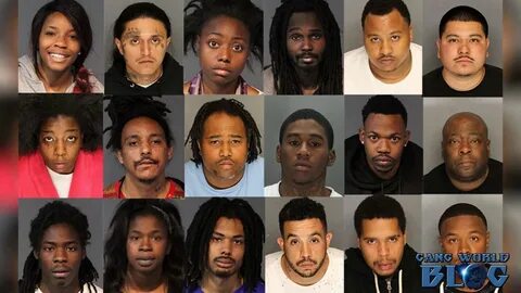 23 Stockton gang members, correction officer arrested (North