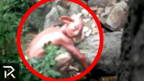 Mysterious Creatures Spotted & Caught On Camera - YouTube