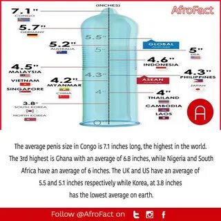 AfroFacts on Twitter: "The average penis size in Congo is 7.