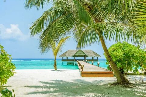 Palm Beach Resort & Spa Maldives 5*, Мальдивы, Лавиани Атолл