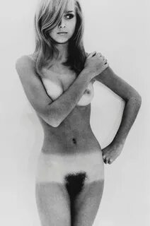 Nude by Terence Donovan, 1967