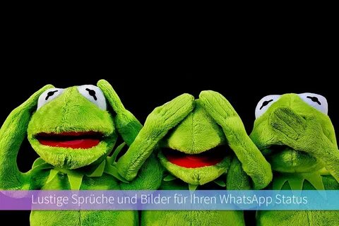 Whatsapp Sprüche Status Sprüche Lustig Kurz - art-whippersna