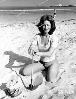 SHIRLEY ANNE FIELD British Actress, Stock Photo, Picture And