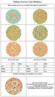 Ishihara Color Blindness Test Book Pdf Free Download - teach