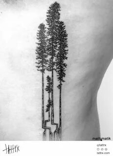 California Redwood Tree tattoo finger, Tree tattoo, Redwood 