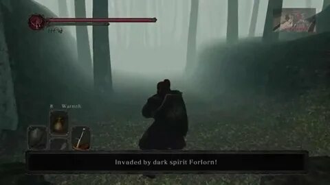 Dark Souls II: SOTFS -Forlorn- Shaded Woods - YouTube