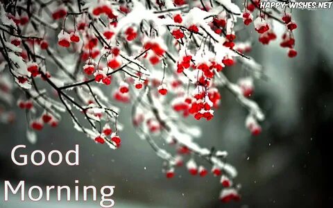 25 Winter Good Morning Wishes Quotes & Images