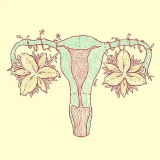 pretty uterus Uterus art, Anatomy art, Feminist art