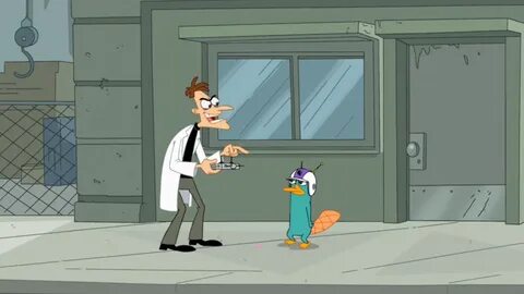 Discuss Everything About Phineas and Ferb Wiki Fandom