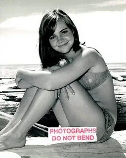 8x10 photo Sally Field pretty sexy Gidget movie Etsy