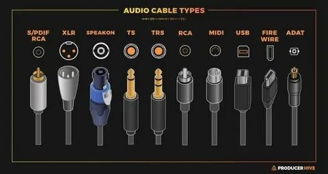 TS vs TRS Cables (Differences Explained Simply) Audio cable,