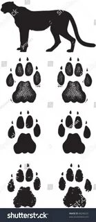 2,049 рез. по запросу "Cheetah paw prints" - изображения, ст