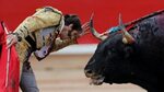 Bullfighting In France 8 Images - Arles Bullfighting Schedul
