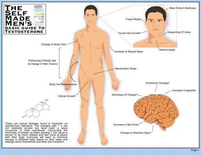 Hormone replacement therapy, Hormone replacement, Hormones