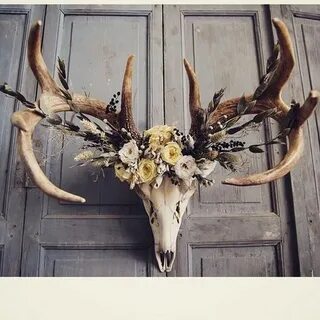 48 Newest Antler Decorations Ideas That You Should Have Deer