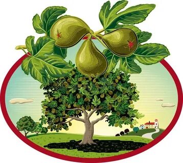 Farm Figs Stock Illustrations - 303 Farm Figs Stock Illustra