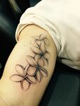 Pin by Colleen Davis on Ink Hawaiian flower tattoos, Frangip