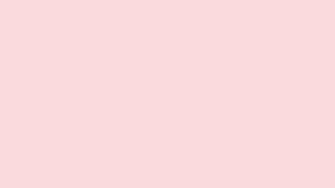 2560x1440 Pale Pink Solid Color Background