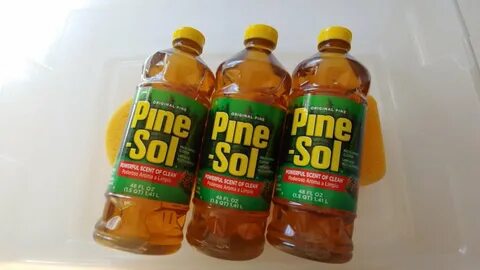 PINE SOL FAVORITE SCENT Steamy Pine Rinse - YouTube