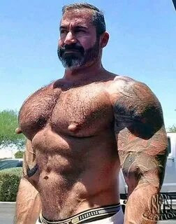 Nipple Pig Dad - Woof! Bears!