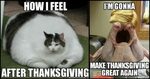 125+ Funny Thanksgiving Memes Will Make You Crave For A Turk
