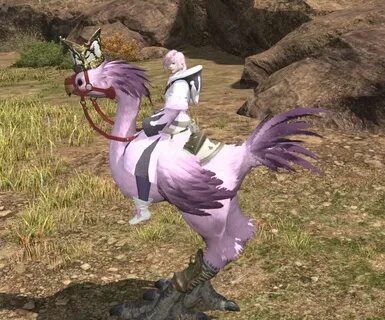 Ffxiv How To Get Chocobo - Mobile Legends